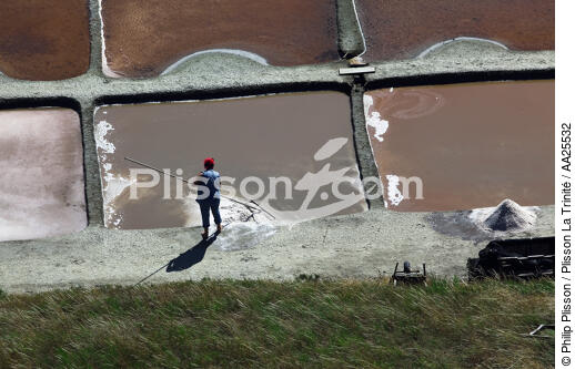 Salt production,Ars en Ré. - © Philip Plisson / Plisson La Trinité / AA25532 - Photo Galleries - Interior landscape