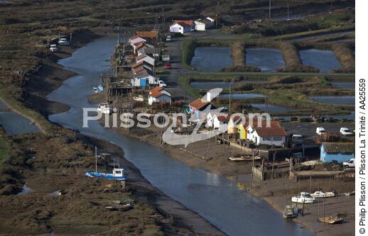 Ors Channel. - © Philip Plisson / Plisson La Trinité / AA25559 - Photo Galleries - Oyster farm