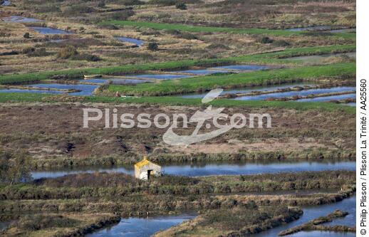 Oyster farme on Oléron island - © Philip Plisson / Plisson La Trinité / AA25560 - Photo Galleries - Cabin