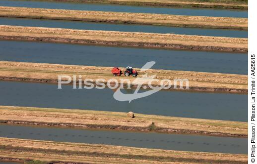l'ile d' Oléron. - © Philip Plisson / Plisson La Trinité / AA25615 - Nos reportages photos - Tracteur