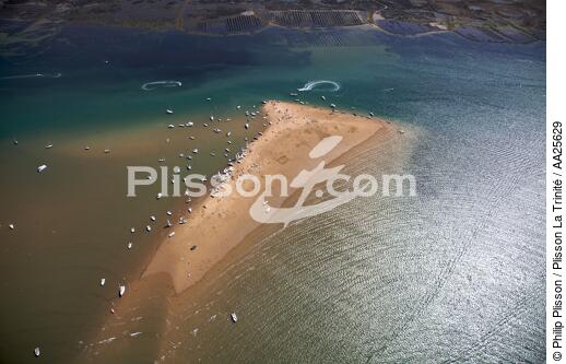 Ile de R2. - © Philip Plisson / Plisson La Trinité / AA25629 - Photo Galleries - Island [17]