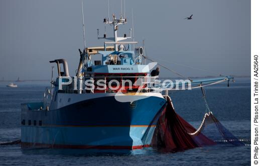 Pêche à la sardine en baie de Concarneau - © Philip Plisson / Plisson La Trinité / AA25640 - Nos reportages photos - Pêche à la senne