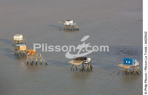 Carrelets de l'ile Madame - © Philip Plisson / Plisson La Trinité / AA25642 - Nos reportages photos - Cabane