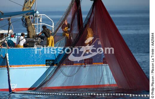Pêche à la sardine en baie de Concarneau - © Philip Plisson / Plisson La Trinité / AA25644 - Nos reportages photos - Bateau de pêche