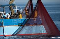 Sardine fishing in the bay of Concarneau © Philip Plisson / Plisson La Trinité / AA25644 - Photo Galleries - Fishing nets