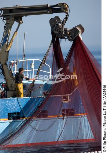 Pêche à la sardine en baie de Concarneau - © Philip Plisson / Plisson La Trinité / AA25646 - Nos reportages photos - Finistère