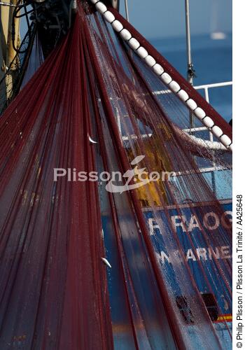 Pêche à la sardine en baie de Concarneau - © Philip Plisson / Plisson La Trinité / AA25648 - Nos reportages photos - Bateau de pêche