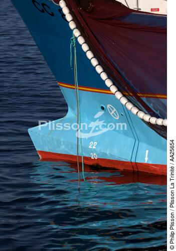 Sardine fishing in the bay of Concarneau - © Philip Plisson / Plisson La Trinité / AA25654 - Photo Galleries - Elements of boat