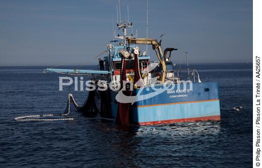 Pêche à la sardine en baie de Concarneau - © Philip Plisson / Plisson La Trinité / AA25657 - Nos reportages photos - Bateau de pêche