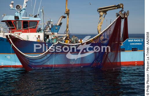 Pêche à la sardine en baie de Concarneau - © Philip Plisson / Plisson La Trinité / AA25658 - Nos reportages photos - Baie de Concarneau