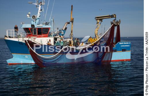 Pêche à la sardine en baie de Concarneau - © Philip Plisson / Plisson La Trinité / AA25659 - Nos reportages photos - Filet de pêche