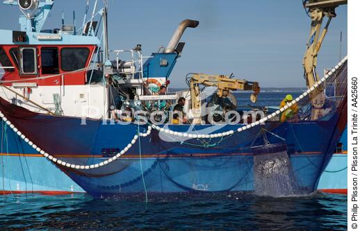 Pêche à la sardine en baie de Concarneau - © Philip Plisson / Plisson La Trinité / AA25660 - Nos reportages photos - Pêche à la sardine