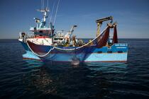 Pêche à la sardine en baie de Concarneau © Philip Plisson / Plisson La Trinité / AA25661 - Nos reportages photos - Pêche à la sardine