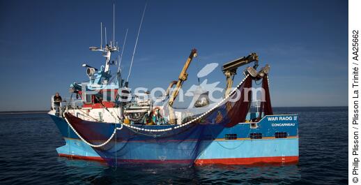 Sardine fishing in the bay of Concarneau - © Philip Plisson / Plisson La Trinité / AA25662 - Photo Galleries - Fishing vessel