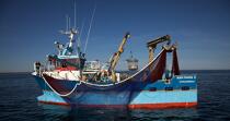 Pêche à la sardine en baie de Concarneau © Philip Plisson / Plisson La Trinité / AA25662 - Nos reportages photos - Vue non aérienne