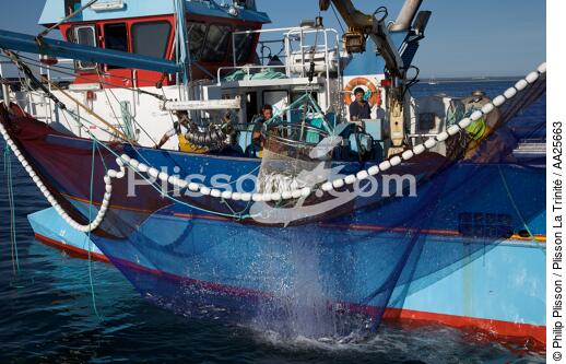 Pêche à la sardine en baie de Concarneau - © Philip Plisson / Plisson La Trinité / AA25663 - Nos reportages photos - La pêche à la sardine
