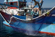 Pêche à la sardine en baie de Concarneau © Philip Plisson / Plisson La Trinité / AA25663 - Nos reportages photos - Pêche à la sardine