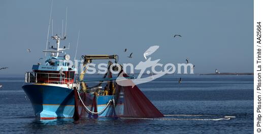 Pêche à la sardine en baie de Concarneau - © Philip Plisson / Plisson La Trinité / AA25664 - Nos reportages photos - La pêche à la sardine