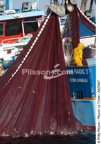 Pêche à la sardine en baie de Concarneau - © Philip Plisson / Plisson La Trinité / AA25667 - Nos reportages photos - Vue non aérienne