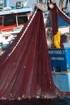 Pêche à la sardine en baie de Concarneau © Philip Plisson / Plisson La Trinité / AA25667 - Nos reportages photos - Filet de pêche