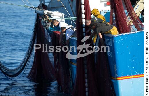 Pêche à la sardine en baie de Concarneau - © Philip Plisson / Plisson La Trinité / AA25670 - Nos reportages photos - Pêche à la senne