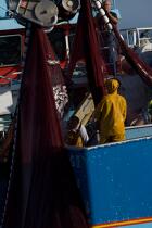 Sardine fishing in the bay of Concarneau © Philip Plisson / Plisson La Trinité / AA25671 - Photo Galleries - Fishing vessel