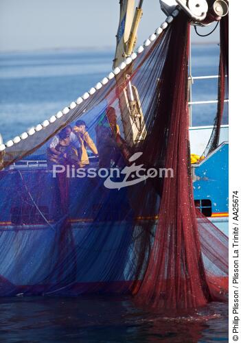 Pêche à la sardine en baie de Concarneau - © Philip Plisson / Plisson La Trinité / AA25674 - Nos reportages photos - Type de pêche
