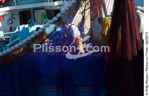 Pêche à la sardine en baie de Concarneau - © Philip Plisson / Plisson La Trinité / AA25675 - Nos reportages photos - Type de pêche