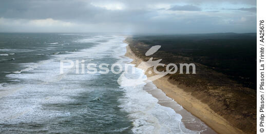La Coubre beach - © Philip Plisson / Plisson La Trinité / AA25676 - Photo Galleries - Interior landscape
