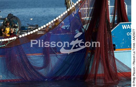 Sardine fishing in the bay of Concarneau - © Philip Plisson / Plisson La Trinité / AA25677 - Photo Galleries - Fishing nets