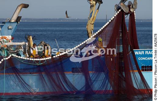 Sardine fishing in the bay of Concarneau - © Philip Plisson / Plisson La Trinité / AA25678 - Photo Galleries - Fishing nets