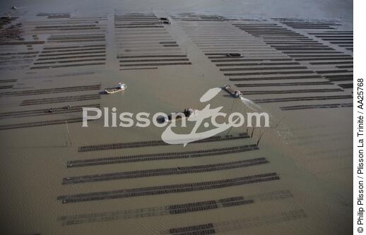 Otréhiculture prés d'Oléron - © Philip Plisson / Plisson La Trinité / AA25768 - Nos reportages photos - Ponton ostréicole