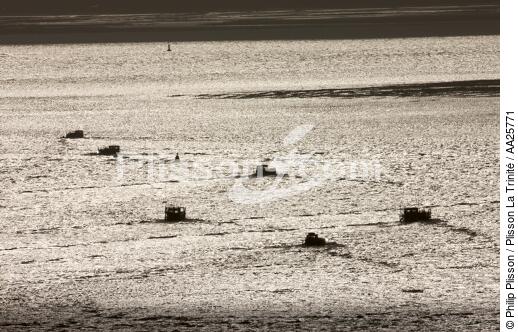 Oyster farming near Oléron island - © Philip Plisson / Plisson La Trinité / AA25771 - Photo Galleries - Oyster farmer