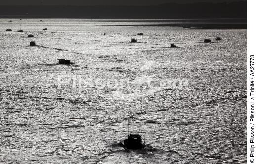 Oyster farming near Oléron island - © Philip Plisson / Plisson La Trinité / AA25773 - Photo Galleries - Backlit