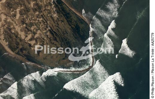 Oléron island - © Philip Plisson / Plisson La Trinité / AA25779 - Photo Galleries - Lighthouse [17]