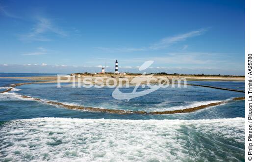 Oléron island - © Philip Plisson / Plisson La Trinité / AA25780 - Photo Galleries - Island [17]