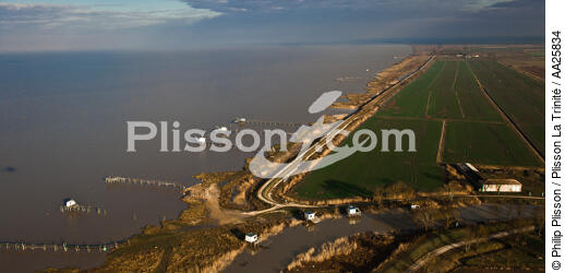 Port de Cônac sur la Gironde - © Philip Plisson / Plisson La Trinité / AA25834 - Nos reportages photos - Carrelet