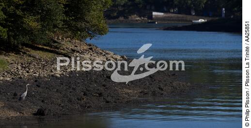 Odet river - © Philip Plisson / Plisson La Trinité / AA25851 - Photo Galleries - River [29]