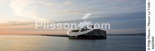 Le fort de l'Ouest devant Cherbourg. - © Philip Plisson / Plisson La Trinité / AA25949 - Nos reportages photos - Manche [La]