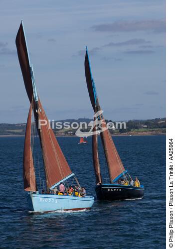 Coquiller en rade de Brest - © Philip Plisson / Plisson La Trinité / AA25964 - Nos reportages photos - Equipage