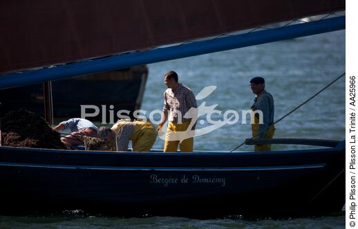Coquiller en rade de Brest - © Philip Plisson / Plisson La Trinité / AA25966 - Nos reportages photos - Equipage