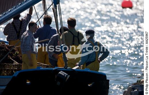 Coquiller en rade de Brest - © Philip Plisson / Plisson La Trinité / AA25967 - Nos reportages photos - Equipage