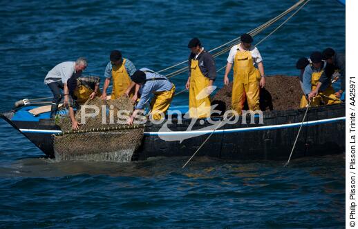 Shellfish vessel in Brest - © Philip Plisson / Plisson La Trinité / AA25971 - Photo Galleries - Crew