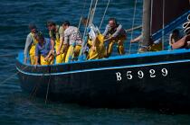 Coquiller en rade de Brest © Philip Plisson / Plisson La Trinité / AA25972 - Nos reportages photos - Bateau de pêche