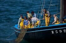 Coquiller en rade de Brest © Philip Plisson / Plisson La Trinité / AA25973 - Nos reportages photos - Equipage