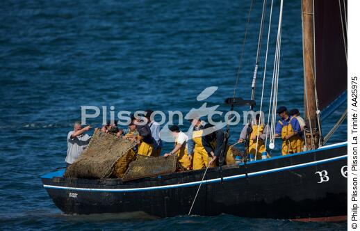Shellfish vessel in Brest - © Philip Plisson / Plisson La Trinité / AA25975 - Photo Galleries - Brest Harbour