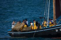 Coquiller en rade de Brest © Philip Plisson / Plisson La Trinité / AA25975 - Nos reportages photos - Bateau de pêche