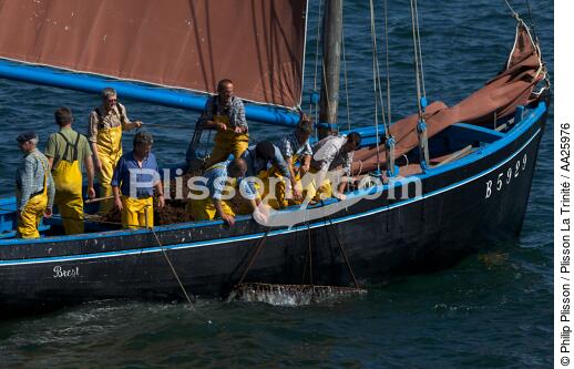 Coquiller en rade de Brest - © Philip Plisson / Plisson La Trinité / AA25976 - Nos reportages photos - Equipage