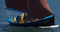 Coquiller en rade de Brest © Philip Plisson / Plisson La Trinité / AA25981 - Nos reportages photos - Equipage