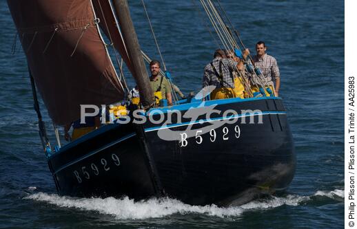 Coquiller en rade de Brest - © Philip Plisson / Plisson La Trinité / AA25983 - Nos reportages photos - Equipage